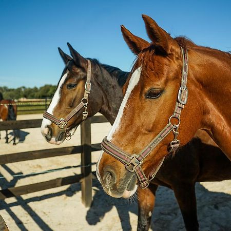 Vmg Horse Ranch (Adults Only) Villa Llucmajor  Exterior foto