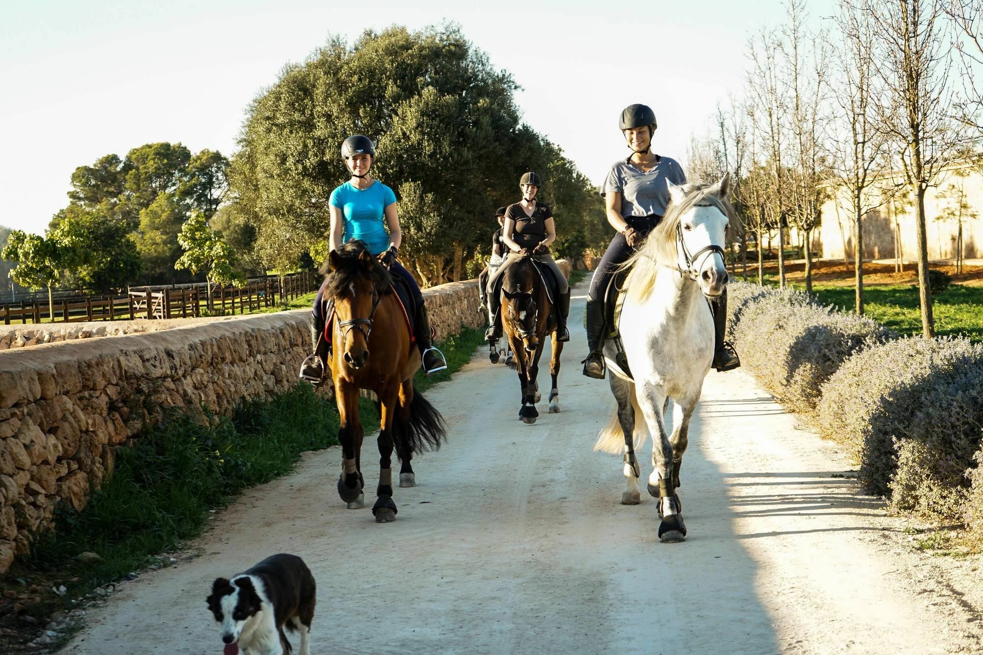 Vmg Horse Ranch (Adults Only) Villa Llucmajor  Exterior foto